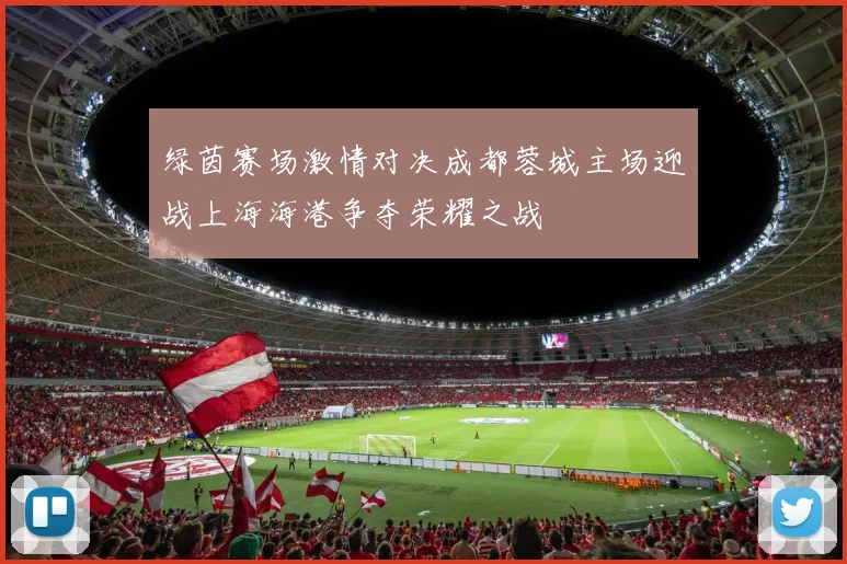 绿茵赛场激情对决成都蓉城主场迎战上海海港争夺荣耀之战