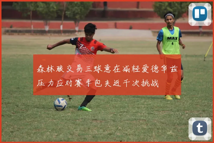 森林狼交易三球意在减轻爱德华兹压力应对赛季包夹近千次挑战