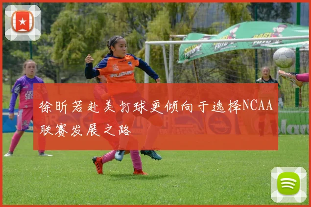 徐昕若赴美打球更倾向于选择NCAA联赛发展之路